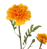 Afrikaantje (Tagetes erecta), 2 bloemen (Ø 9cm/5cm), 1 knop & 25 blad (4sets), 63cm