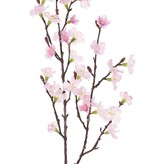 Sakura blossom branch (Prunus jamasakura), 36 flowers, 8 buds, 76cm