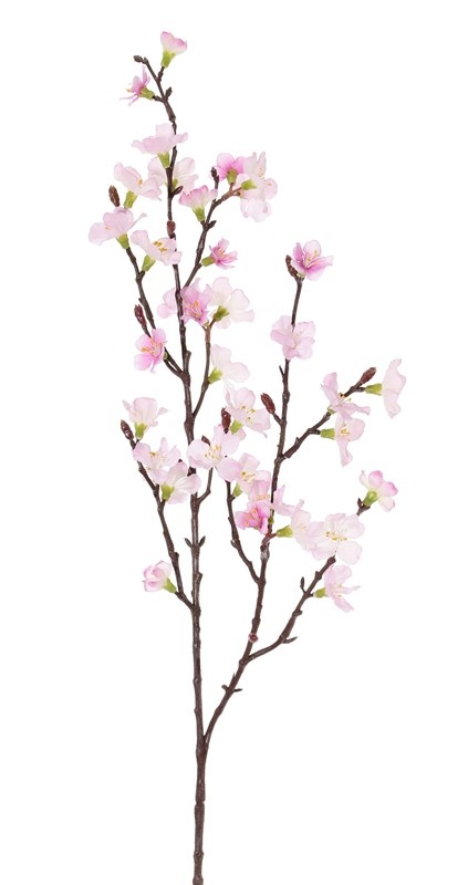 Sakura-Blütenzweig (Prunus jamasakura), 2 Verzweigungen, 36 Blüten, 8 Knospen, 76cm