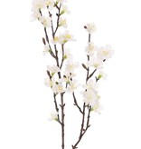 Sakura-Blütenzweig (Prunus jamasakura), 2 Verzweigungen, 36 Blüten, 8 Knospen, 76cm