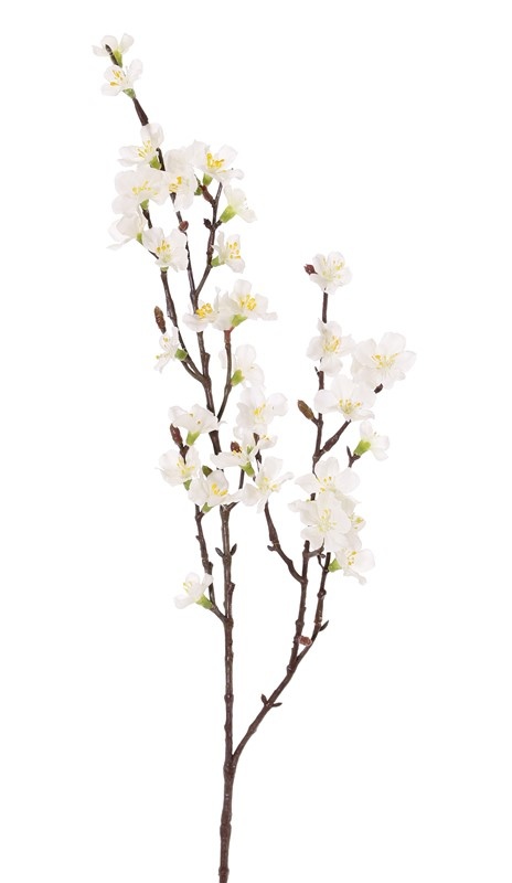 Sakura-Blütenzweig (Prunus jamasakura), 2 Verzweigungen, 36 Blüten, 8 Knospen, 76cm