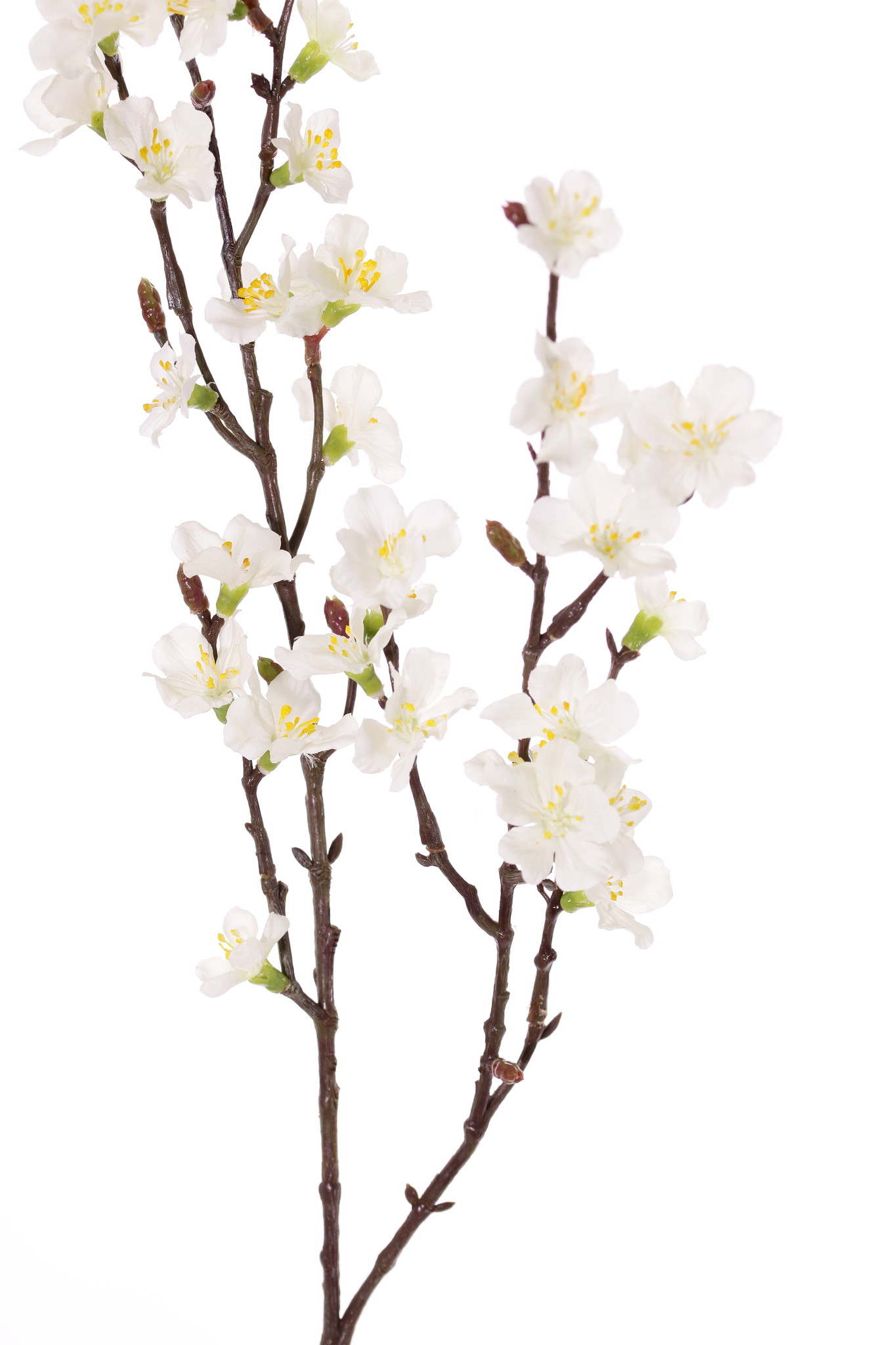 Sakura-Blütenzweig (Prunus jamasakura), 2 Verzweigungen, 36 Blüten, 8 Knospen, 76cm
