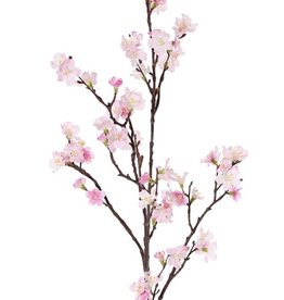 Sakura-Blütenzweig (Prunus jamasakura) 3 Verzweigungen, 72 Blüten, 9 Knospen, 96cm