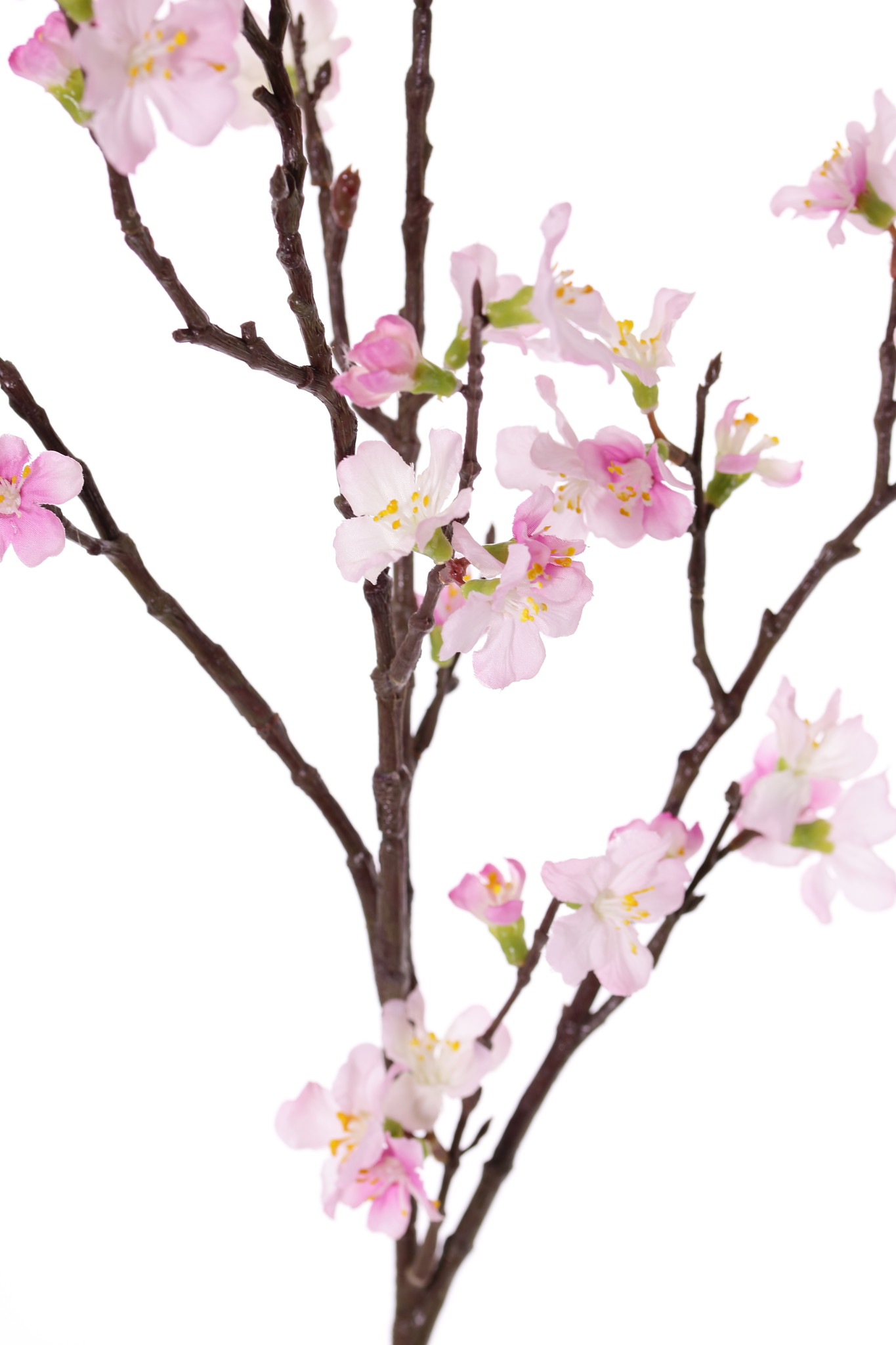 Sakura rama de flores (Prunus jamasakura), 72 flores, 9 brotes, 96cm