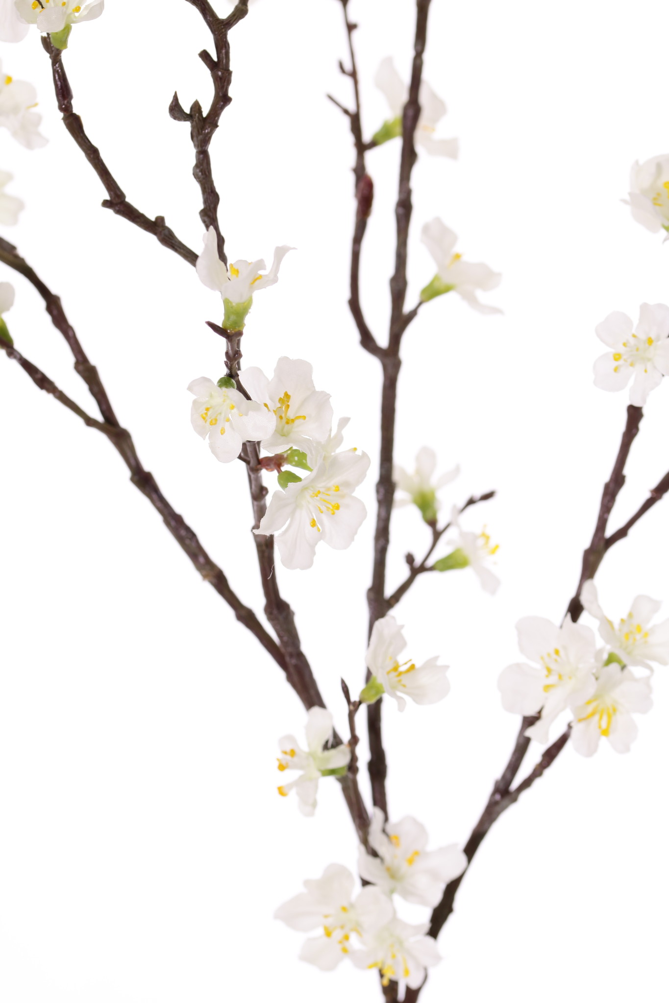 Sakura rama de flores (Prunus jamasakura), 72 flores, 9 brotes, 96cm