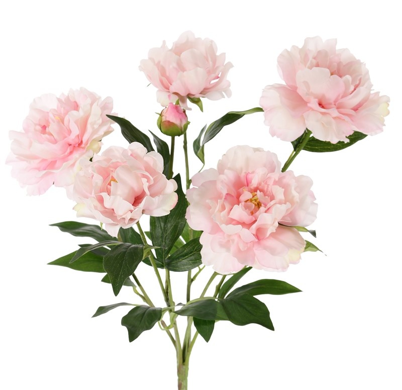 flowering Peony, 5 flowers, 1 bud &  leaves., 45cm, Ø 30cm