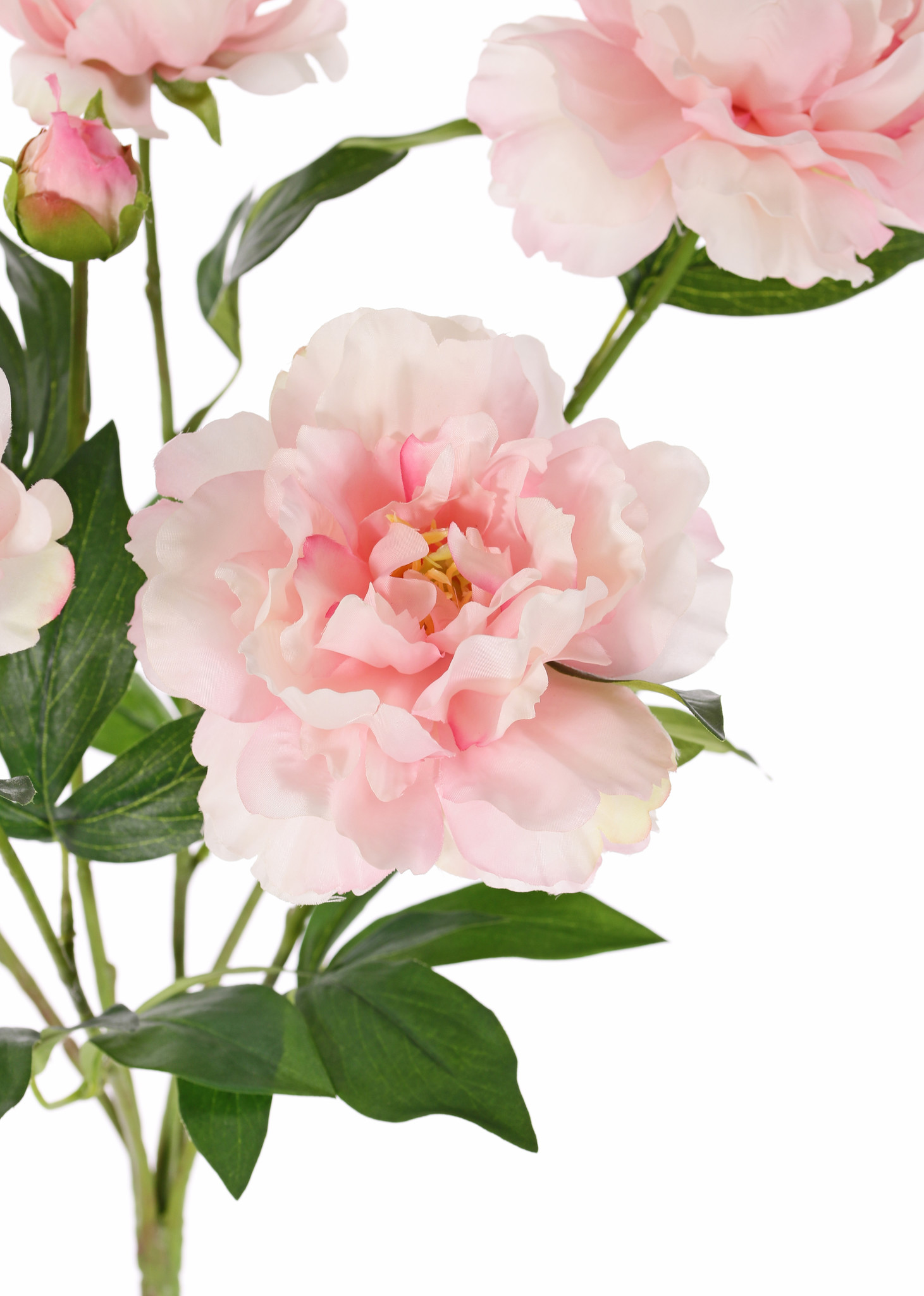 Peonia , 5 flores, 1 capullo & hojas, 45cm, Ø 30cm - Top Art International  - flores y plantas artificiales - solo para clientes comerciales