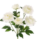 flowering Peony, 5 flowers, 1 bud &  leaves., 45cm, Ø 30cm