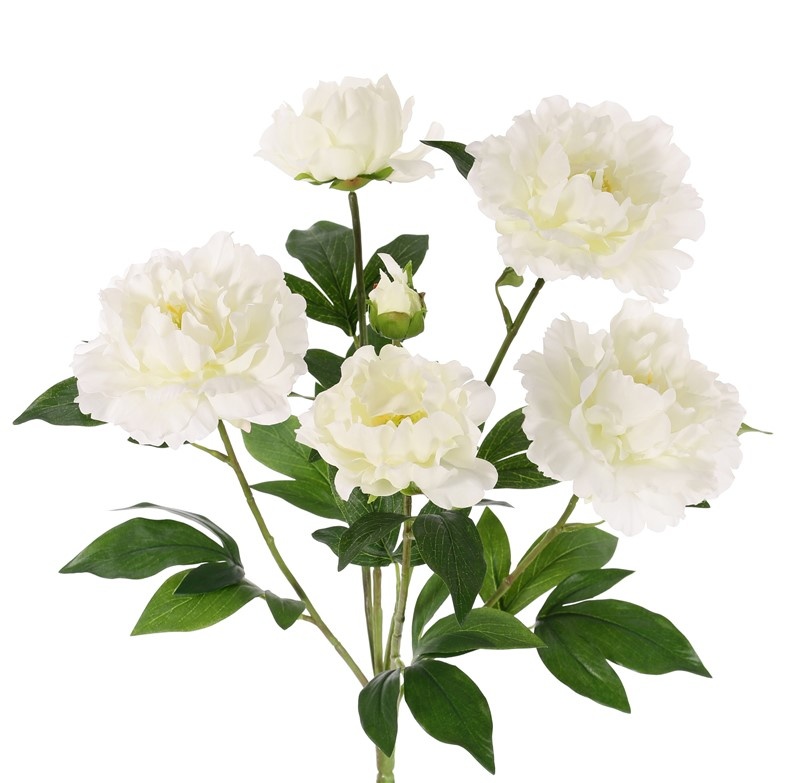 Planta Peonia, 6 ramitas, 5 flores, 1 capullo & hojas, 45cm, Ø 30cm