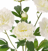 flowering Peony, 5 flowers, 1 bud &  leaves., 45cm, Ø 30cm