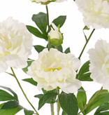 Pfingstrosen mit 6 Verzweigungen, 5 Blumen, 1 Knospe & Blatt, 45cm, Ø 30cm
