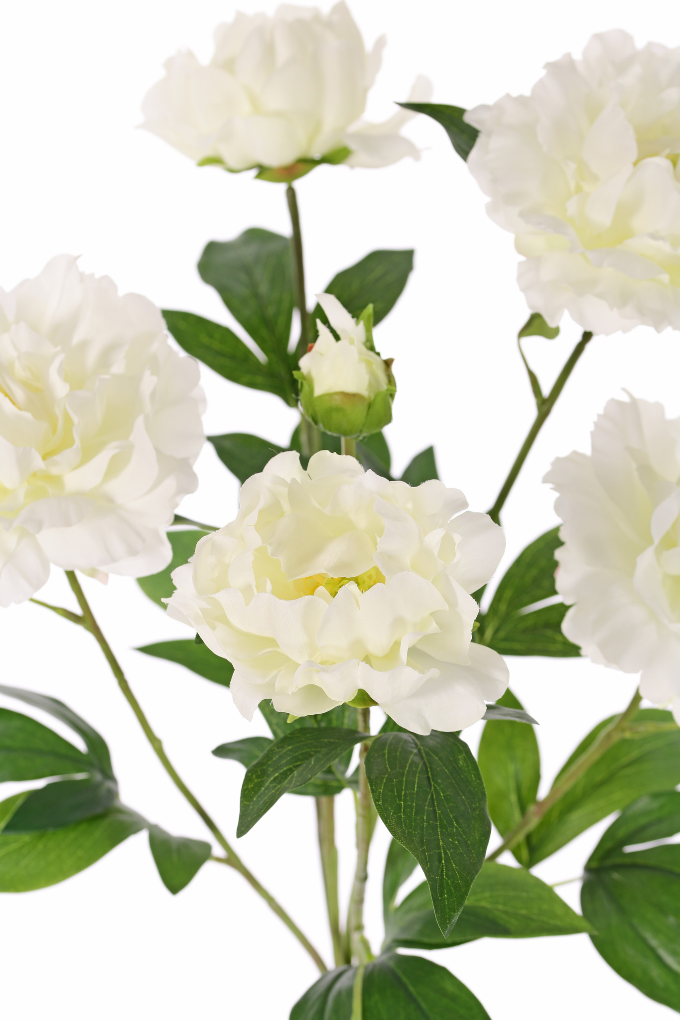 flowering Peony, 5 flowers, 1 bud &  leaves., 45cm, Ø 30cm