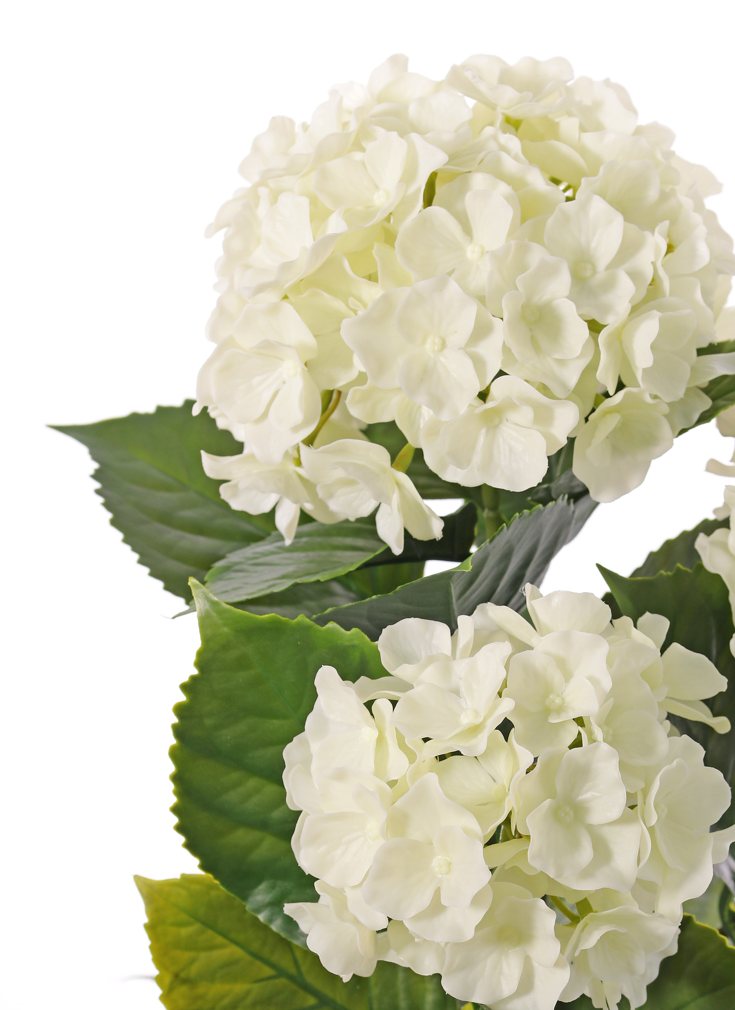 Hydrangea, 'All weather', 3 flower heads & 27 lvs., 43cm, UV safe