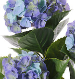 Hortensia, 'All weather', 3 grupos de flor & 27 hojas, 43cm, UV resistente