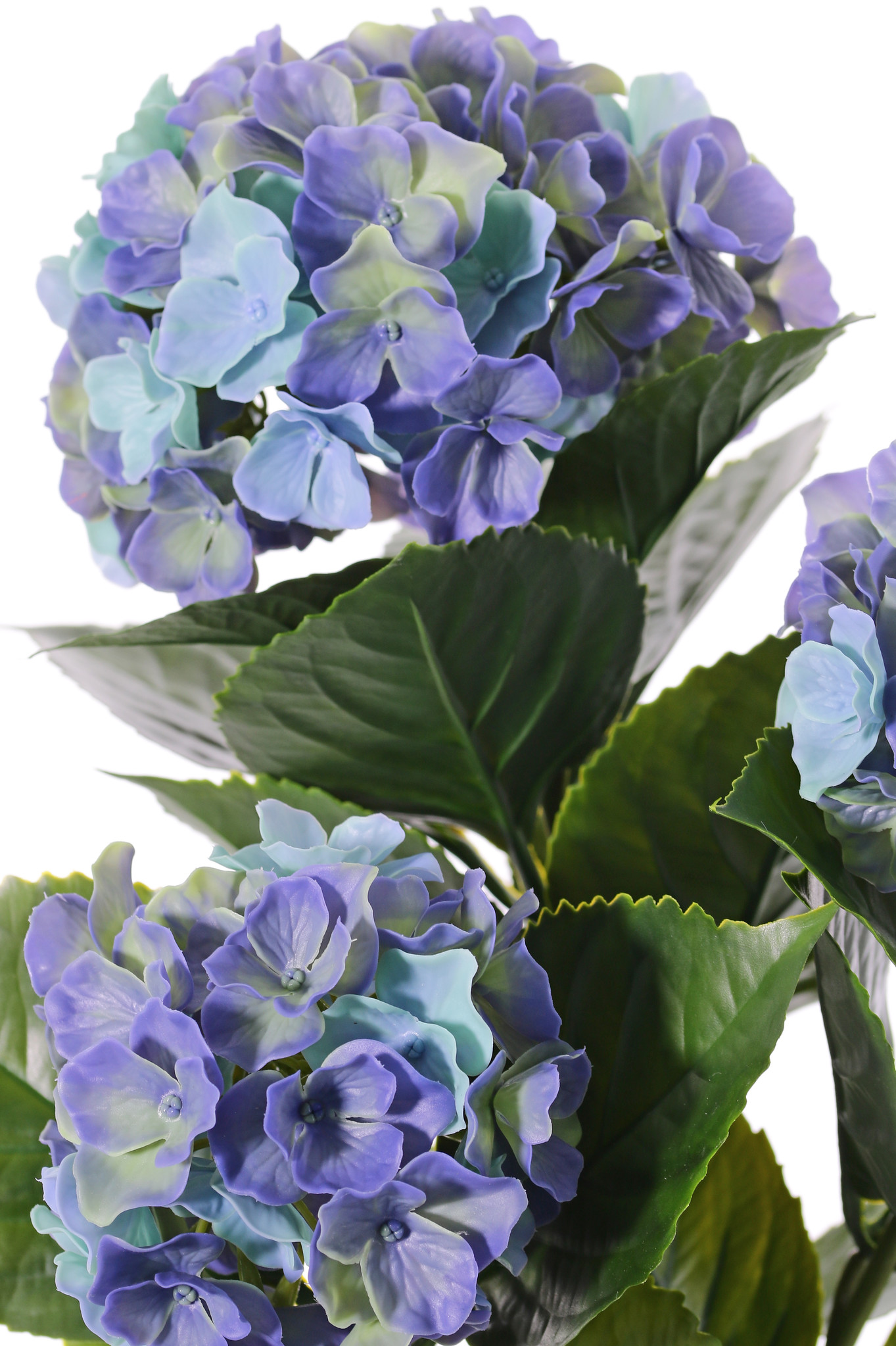 Hortensia, 'All weather', 3 grupos de flor & 27 hojas, 43cm, UV resistente