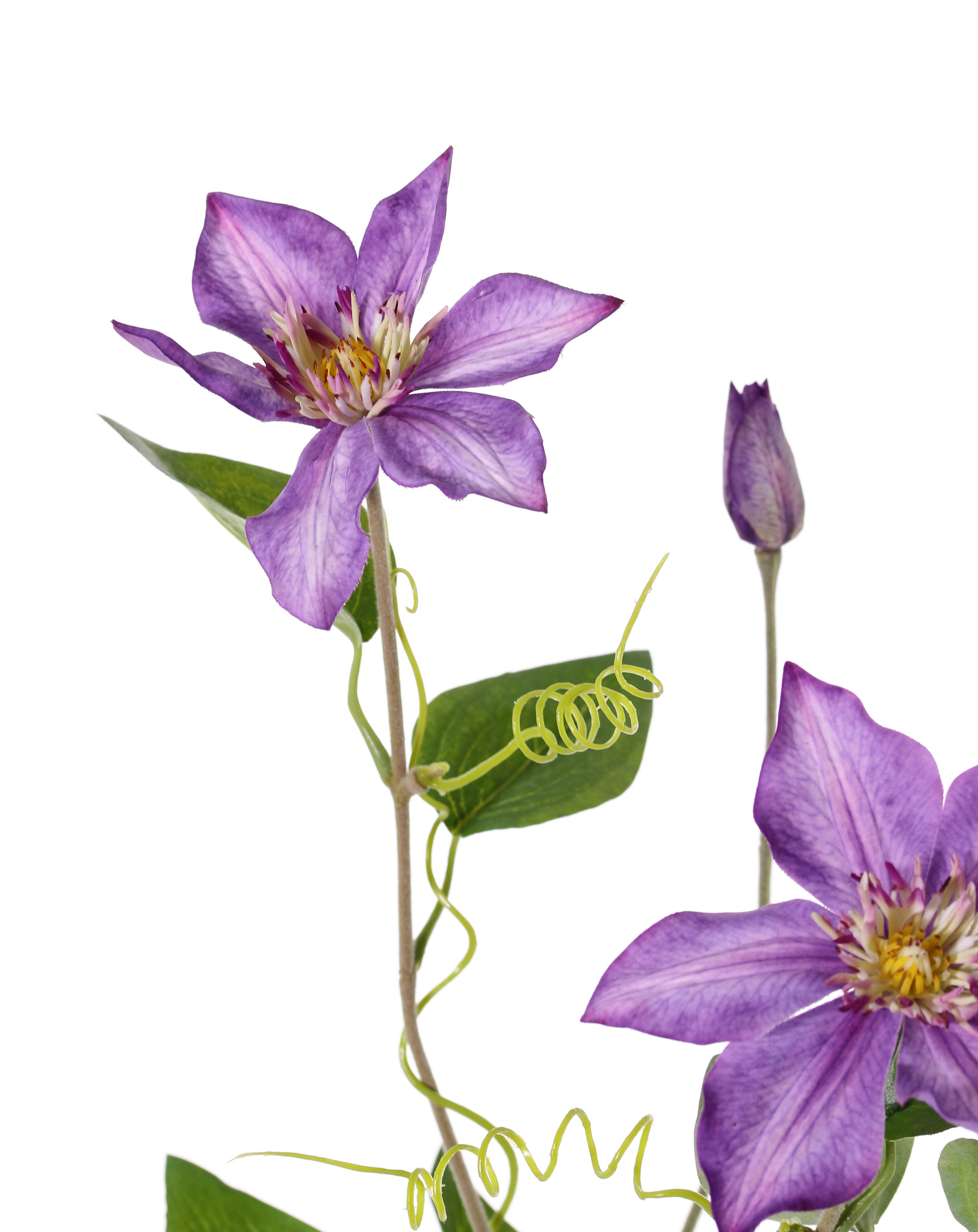 Clematis (Bosrank) 'GardenArt', 2 bloemen, 1 knop, 9 blad & 4 klimmers, flocked steel, 76cm