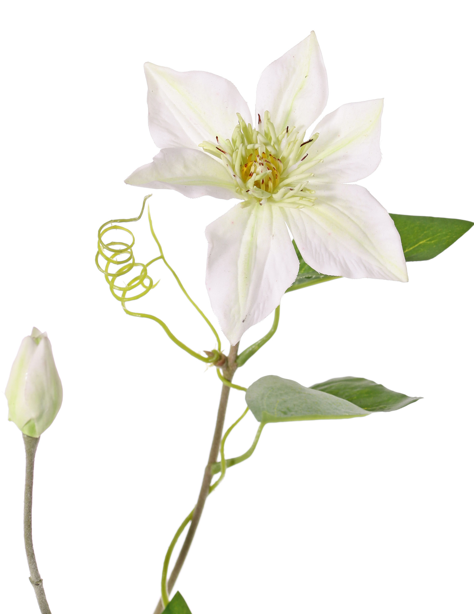 Clematis (Bosrank) 'GardenArt', 2 bloemen, 1 knop, 9 blad & 4 klimmers, flocked steel, 76cm