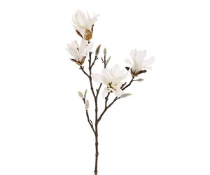 Magnolia stellata (magnolia estrellada) - Top Art International - flores y  plantas artificiales - solo para clientes comerciales