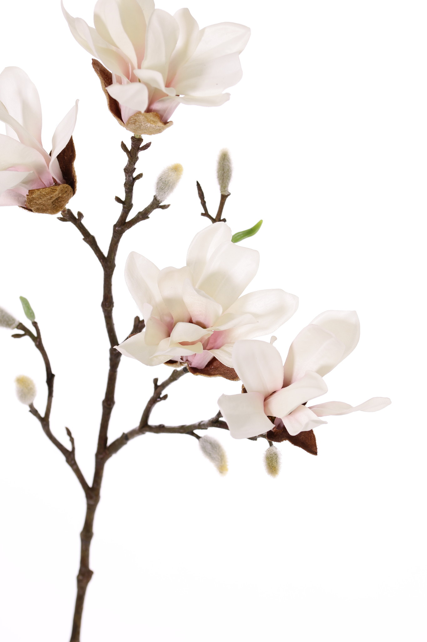 Magnolia stellata (magnolia estrellada) - Top Art International - flores y  plantas artificiales - solo para clientes comerciales