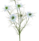 Nigella (Jungfer im Grünen) 6 Verzweigungen, 4 Blumen, 2 Knospen, 15 Blattsets, 66cm