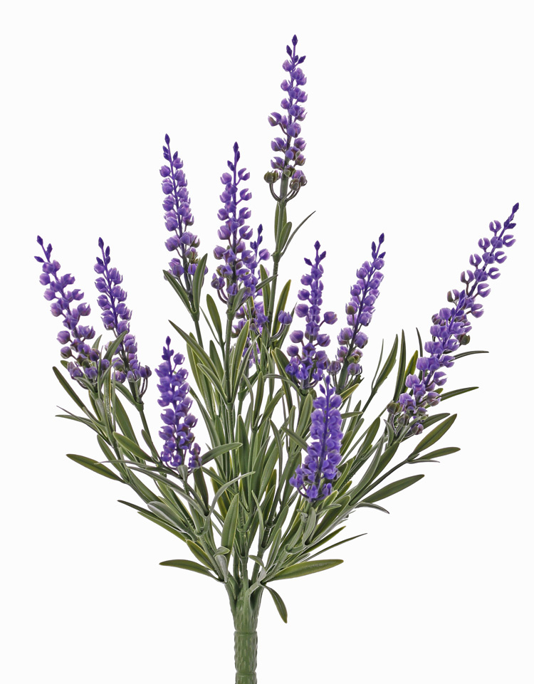 Lavandula, 12 espigas florales, 42 hojas, UV safe,  a. 35cm