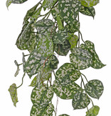 Scindapsus (Epripremnum) hangplant, 60 blad & uitlopers, 72cm, UV bestendig