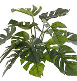 Monsteraplant (Gatenplant), 15 bladeren, FR & UVsafe, 40cm