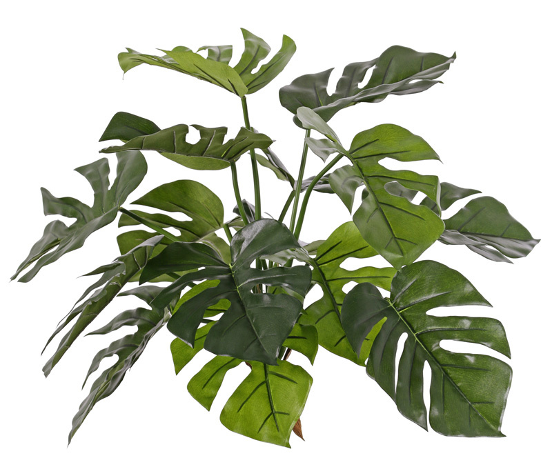 Monstera deliciosa, 15 hojas, resistente del fuego & de rayos UV, 40cm
