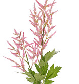 Astilbe (falsa barba de la cabra,  Spirea falso), 2 flores (35cm/25cm) & 9 hojas (3 sets), 90cm