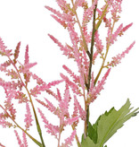 Astilbe (falsa barba de la cabra,  Spirea falso), 2 flores (35cm/25cm) & 9 hojas (3 sets), 90cm