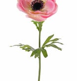 Anemone (Anemone MIA), 1 Blume, (Ø 11cm) & 3 Blätter, 43cm