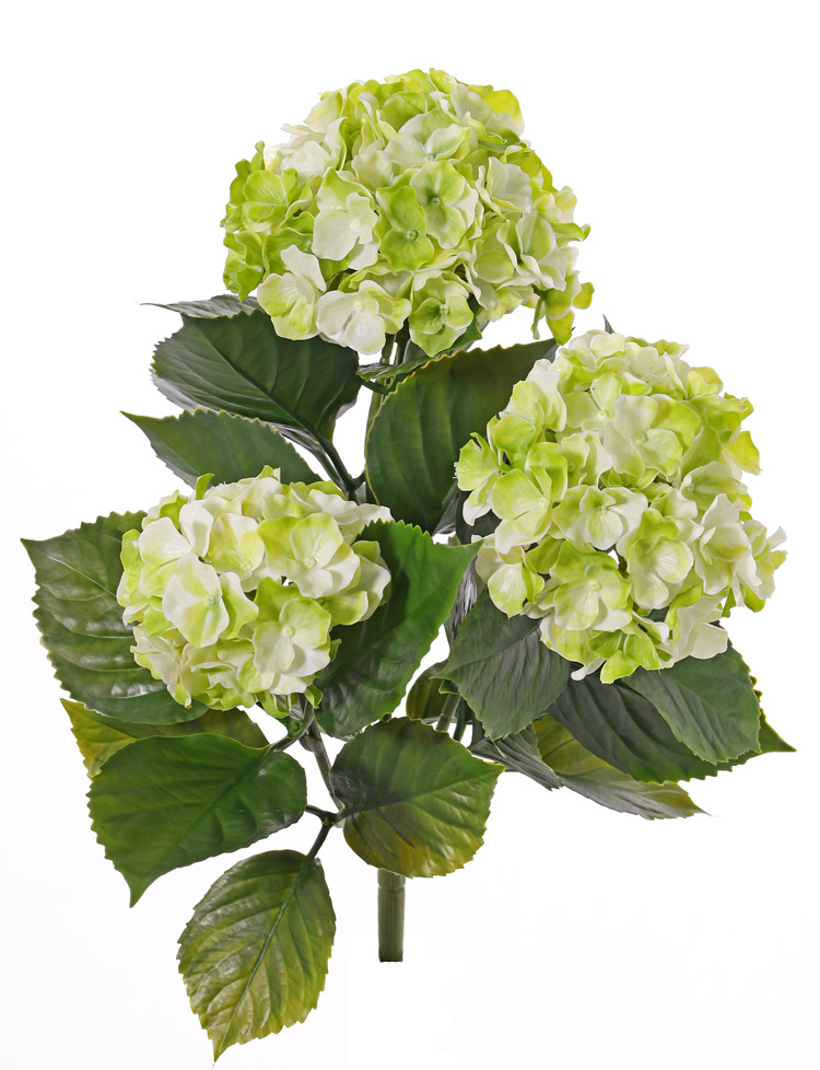 Hortensia, 'All weather', 3 grupos de flor & 27 hojas, 43cm, UV resistente