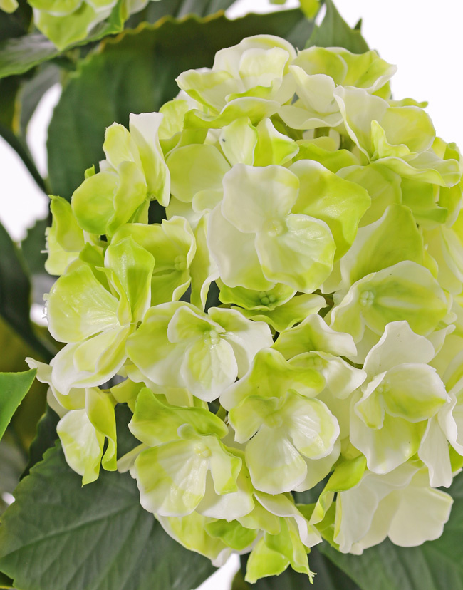 Hydrangea, 'All weather', 3 flower heads & 27 lvs., 43cm, UV safe