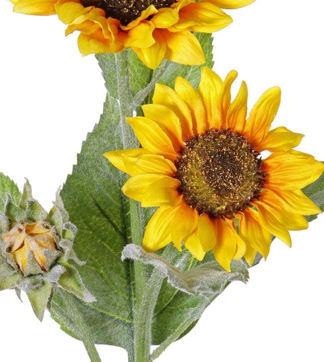 Sonnenblume (Helianthus), 2 Blumen (Ø 12/15cm), 1 Knospe, 7 Blätter, beflockt, 86cm