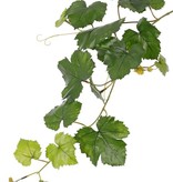 Traubenblattzweig (Vitis vinifera) 18 Blätter, UV sicher, 62cm