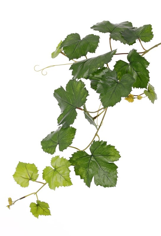 Rama de hoja de uva (Vitis vinifera) 18 hojas, resistente a los rayos UV, 62 cm