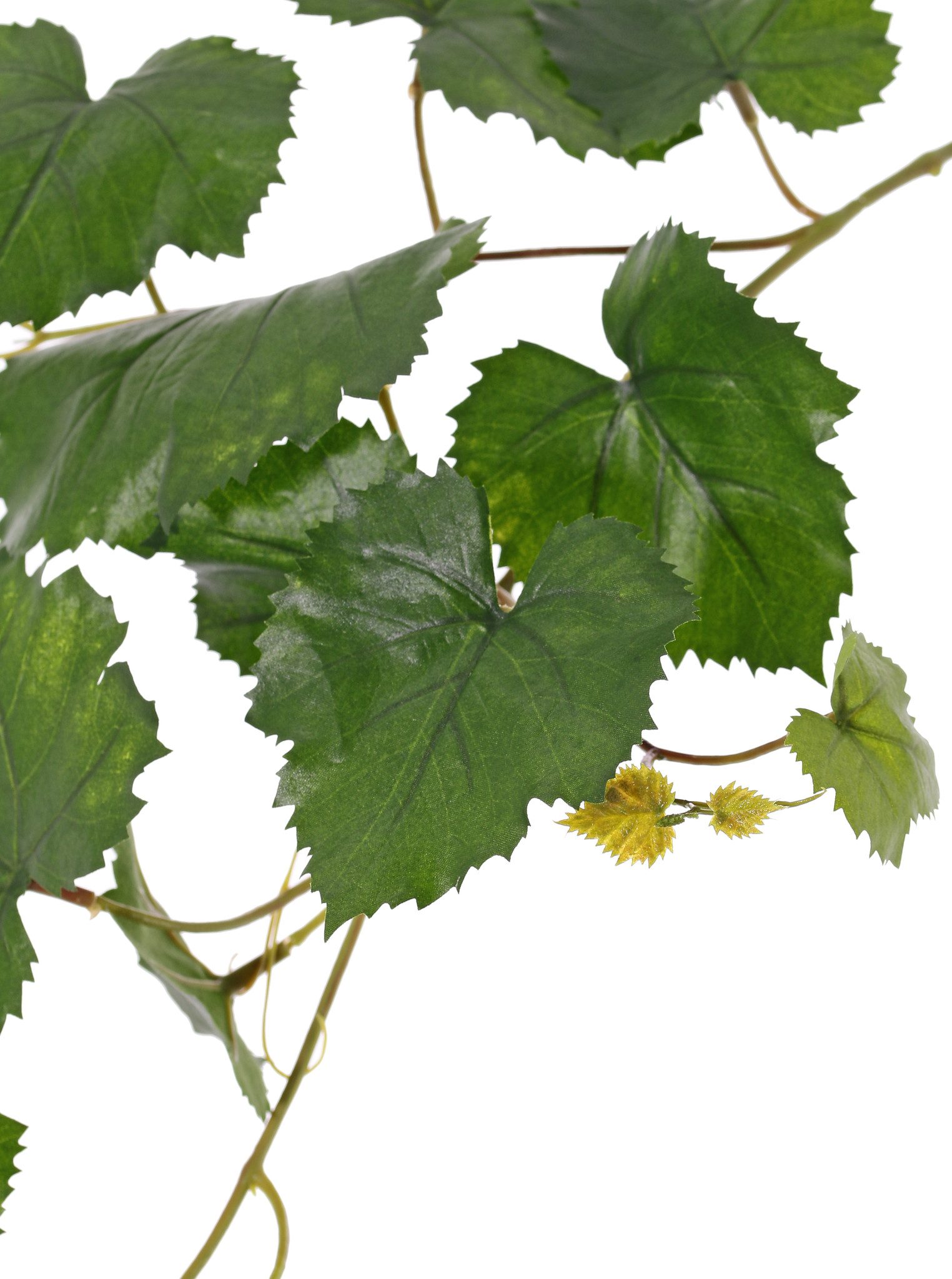 Druivenbladtak (Vitis vinifera) 18 bladeren, UV bestendig, 62cm