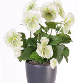 Pansy Bush with 9 flowers (7x Ø 7cm & 2x Ø 2,5cm), 28cm