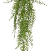 Woodwardia fern (chain fern), 55 fronds, 70cm - UV safe