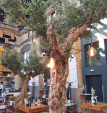 Olijftak, 234 blad, 90 cm UV-safe