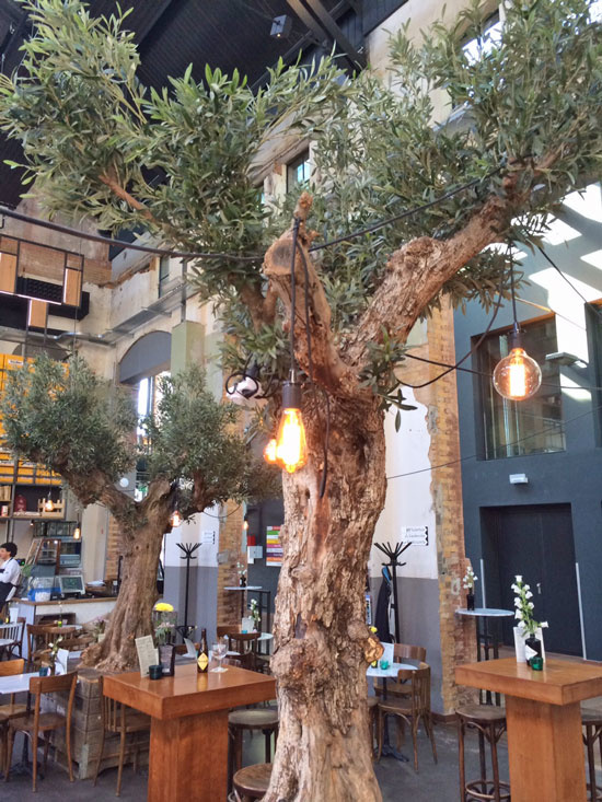 Olijftak, 234 blad, 90 cm UV-safe