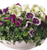 Viola, violetas, 9 flores (7x Ø 7cm y 2x Ø 2,5cm), 28cm
