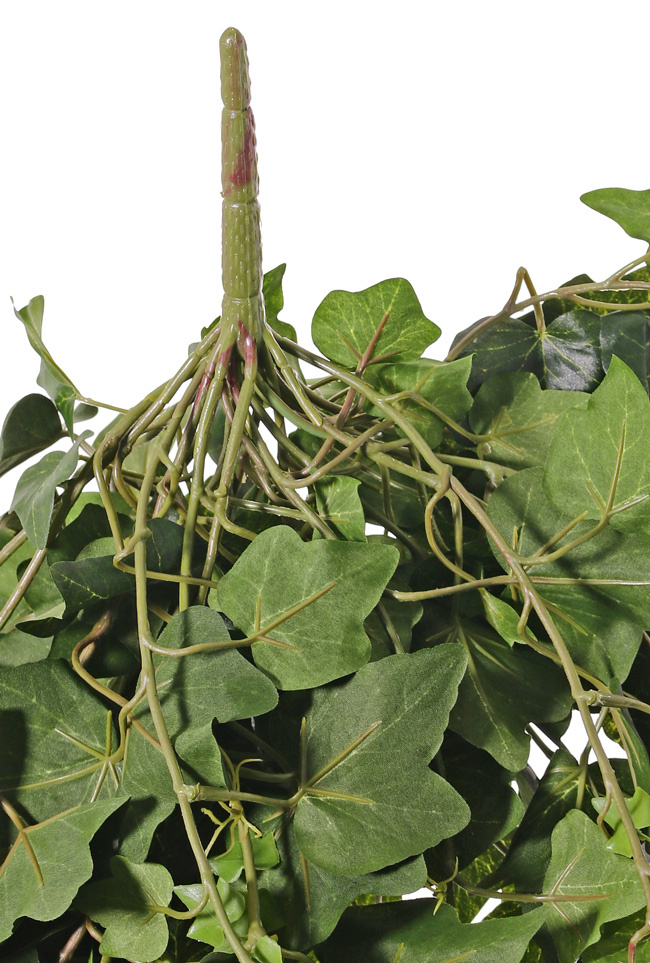 Hedera Gala x 331 75cm UV-bestendig