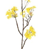 Rama de flor de árbol de arce, 6 racimos de flores, 70cm