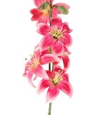 Flor de lis (Lilium) con 5 flores (Ø 8cm) & 4 brotes, 64cm