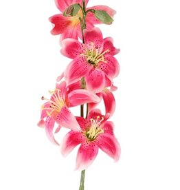 Lelie (Lilium) met 5 bloemen (Ø 8cm) & 4 plastic knoppen, 64cm