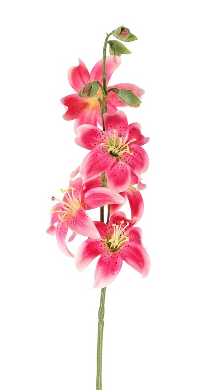Lilie (Lilium) met 5 Blumen (Ø 8cm) & 4 Knospen, 64cm