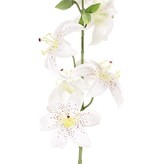 Lelie (Lilium) met 5 bloemen (Ø 8cm) & 4 plastic knoppen, 64cm