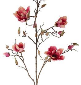 Magnolia tak met 4 bloemen, 22 knoppen, 107 cm