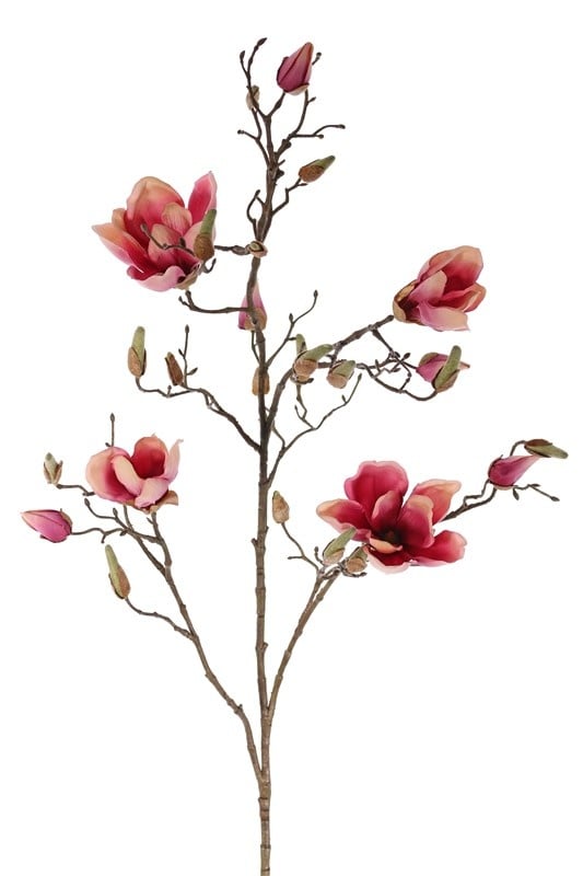 Magnolia branch with 4 flowers, 22 buds, 107cm